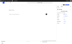 Page screenshot: Add Page &lsaquo; Test site &mdash; WordPress