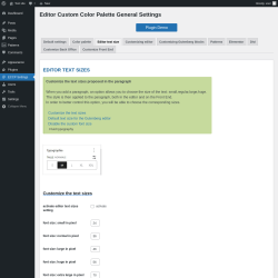 Page screenshot: ECCP Settings → Editor text size