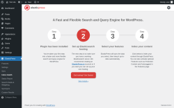 Page screenshot: ElasticPress → Index Health