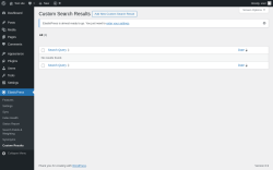 Page screenshot: ElasticPress → Custom Results