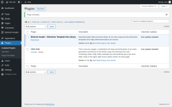 Page screenshot: Plugins &lsaquo; Test site &mdash; WordPress