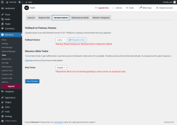 Page screenshot: Elementor → Tools → Version Control