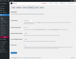 Page screenshot: Elementor → Settings → Performance