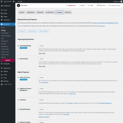 Page screenshot: Elementor → Settings → Features