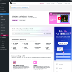 Page screenshot: Elementor