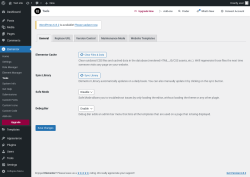 Page screenshot: Elementor → Tools