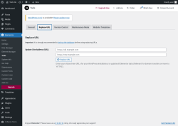 Page screenshot: Elementor → Tools → Replace URL