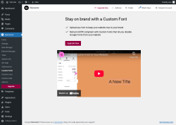 Page screenshot: Elementor → Custom Fonts