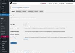 Page screenshot: Elementor → Settings