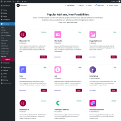 Page screenshot: Elementor → Add-ons