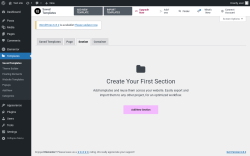 Page screenshot: Templates → Add New → Section