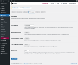 Page screenshot: Elementor → Settings → Performance