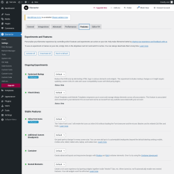 Page screenshot: Elementor → Settings → Features