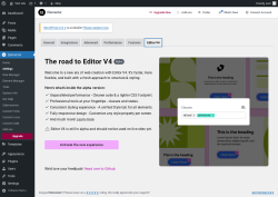 Page screenshot: Elementor → Settings → Editor V4