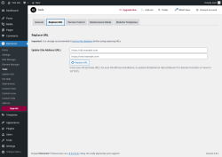 Page screenshot: Elementor → Tools → Replace URL