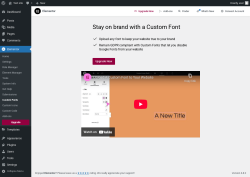 Page screenshot: Elementor → Custom Fonts