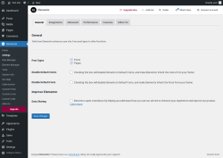 Page screenshot: Elementor → Settings