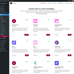 Page screenshot: Elementor → Add-ons