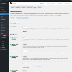 Page screenshot: Elementor → Settings → Features
