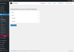Page screenshot: Elementor → Role Manager