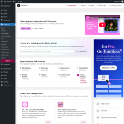 Page screenshot: Elementor