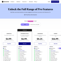 Page screenshot: Elementor → Upgrade
