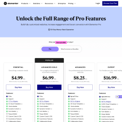 Page screenshot: Elementor &rarr; Upgrade