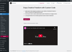 Page screenshot: Elementor → Custom Code