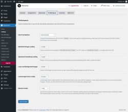 Page screenshot: Elementor → Settings → Performance
