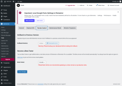 Page screenshot: Elementor → Tools → Version Control