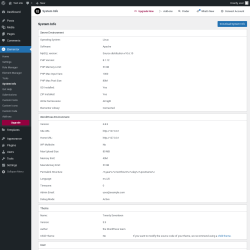 Page screenshot: Elementor → System Info