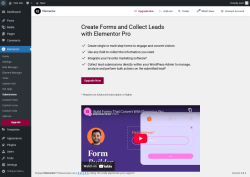 Page screenshot: Elementor → Submissions