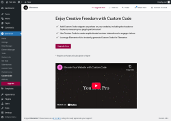 Page screenshot: Elementor → Custom Code