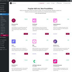 Page screenshot: Elementor → Add-ons