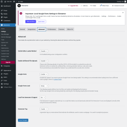 Page screenshot: Elementor → Settings → Advanced