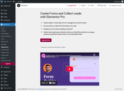 Page screenshot: Elementor → Submissions