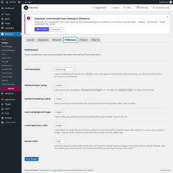 Page screenshot: Elementor → Settings → Performance