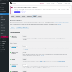 Page screenshot: Elementor → Settings → Features