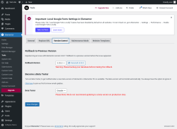 Page screenshot: Elementor → Tools → Version Control
