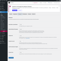 Page screenshot: Elementor → Settings → Advanced
