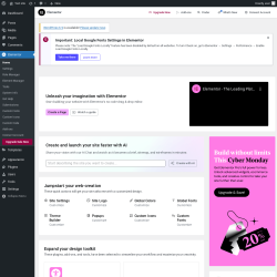 Page screenshot: Elementor