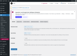 Page screenshot: Elementor → Tools