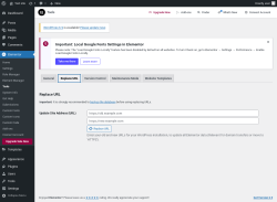 Page screenshot: Elementor → Tools → Replace URL