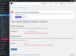 Page screenshot: Elementor → Tools → Version Control