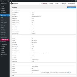 Page screenshot: Elementor → System Info