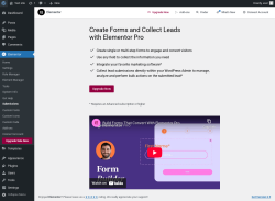 Page screenshot: Elementor → Submissions