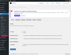 Page screenshot: Elementor → Settings