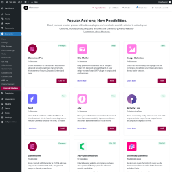 Page screenshot: Elementor → Add-ons