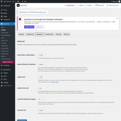 Page screenshot: Elementor → Settings → Advanced