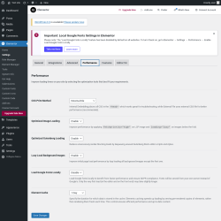 Page screenshot: Elementor → Settings → Performance